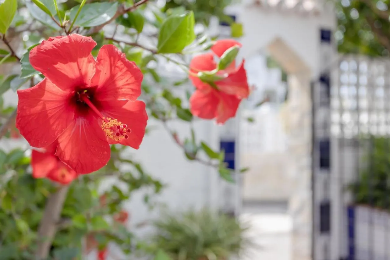 Holiday home Mi Casa Villa Caleta De Velez Spain